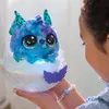 plmebli