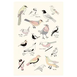 IKEA BILD (904.417.92) Плакат, жизнь птиц