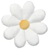 plmebli