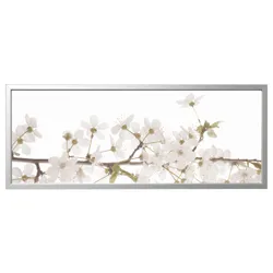 IKEA BJÖRKSTA(495.089.31) картина с рамкой, белые цветы/серебро