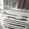plmebli