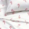 plmebli