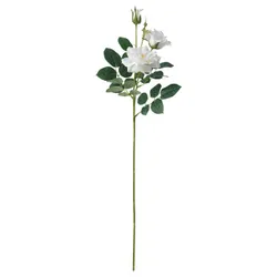 IKEA SMYCKA(905.601.48) штучна квітка, вхід/вихід/Троянда біла