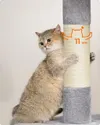 plmebli