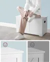 plmebli
