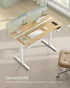 plmebli