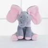 plmebli