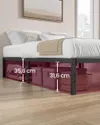 plmebli
