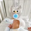 plmebli