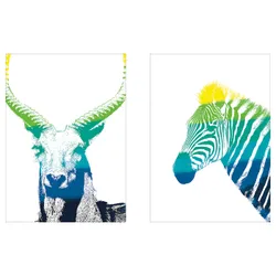 IKEA BILD (304.469.24) Плакат, Животные в спектре