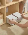 plmebli