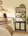 plmebli