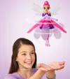 plmebli